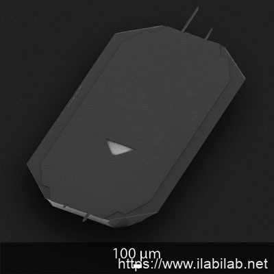4XC-NN-50
